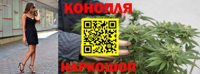 спиды Моздок