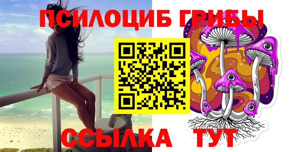 Псилоцибиновые грибы Cubensis Тимашёвск